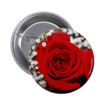 Red Roses With Baby Breath Pinback Button