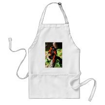 Red Ruffed Lemur Aprons