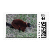Red Ruffed Lemur stamps