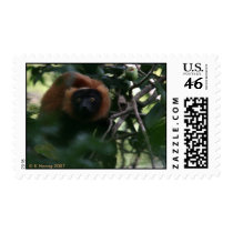 Red-ruffed lemur (Varecia rubra) Madagascar postage by krisfiddle Red-ruffed lemur (Varecia rubra) Madagascar postage