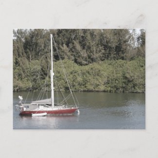 Red Sailboat on River Trees Behind Postcard