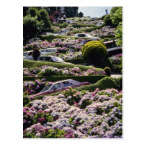 Red San Francisco, California flowers postcards