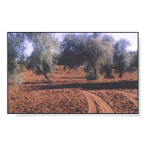 Red Sand Road posters
