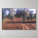 Red Sand Road posters