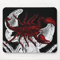 Red Scorpion - Mousepad by bontondesigns Red Scorpion - Mousepad