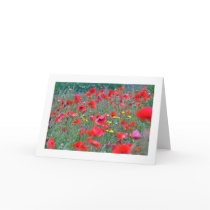 Red Scottish Poppies cards by cheycobb Red Scottish Poppies cards