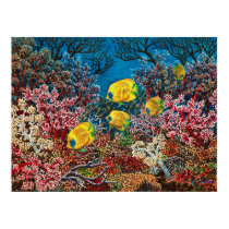 Red Sea posters