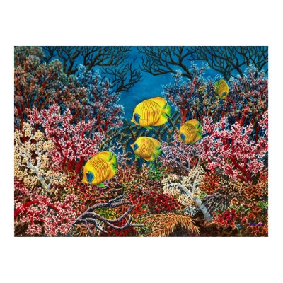 Red Sea Print by Starcen