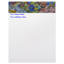 Red Sea Reef letterhead by Cathyyy Red Sea Reef letterhead