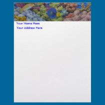 Red Sea Reef letterhead