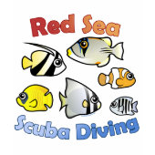 Red Sea Scuba Diving 