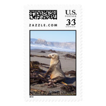 RED SEAL, IMAGE BY DANIEL DUPREE postage