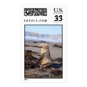RED SEAL, IMAGE BY DANIEL DUPREE postage by Vintagephotostop1 RED SEAL, IMAGE BY DANIEL DUPREE postage