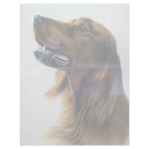Red Setter Personalized Letterhead