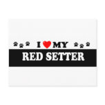 RED SETTER POSTCARD