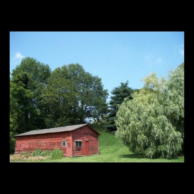 Red Shed in King Ranch Print by WardStudios