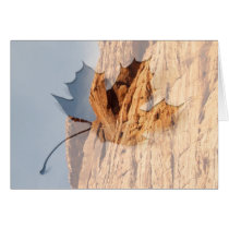Red Shelf of Rock; Customizable Card