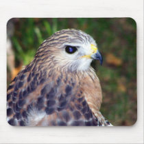 Red Shoulder Hawk mousepads