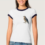 Red Shoulder Hawk