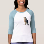 Red Shoulder Hawk
