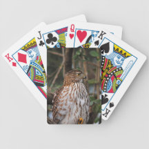 Red Shouldered Hawk 10 Bicycle Card Deck
