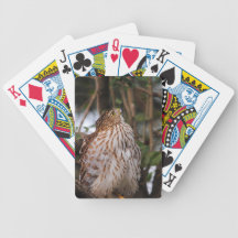 Red Shouldered Hawk 11 Bicycle Card Deck