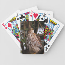 Red Shouldered Hawk 13 Bicycle Poker Cards