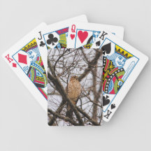 Red Shouldered Hawk 1 Bicycle Card Decks
