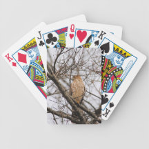 Red Shouldered Hawk 2 Bicycle Card Deck