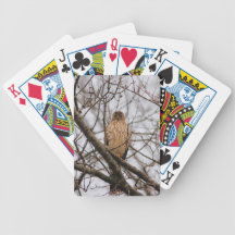 Red Shouldered Hawk 3 Card Decks