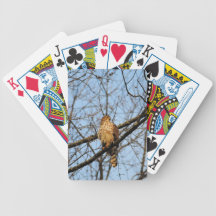 Red Shouldered Hawk 4 Bicycle Poker Deck