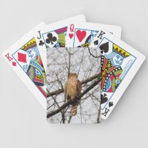 Red Shouldered Hawk 6 Bicycle Card Deck