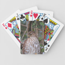 Red Shouldered Hawk 7 Bicycle Card Decks