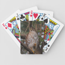 Red Shouldered Hawk 9 Playing Cards