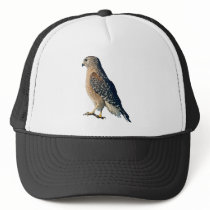 Red-shouldered Hawk Hat