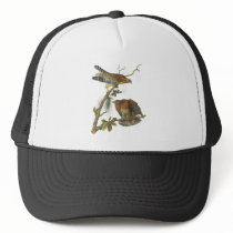 Red-shouldered Hawk, John Audubon Trucker Hats