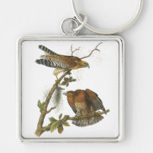 Red-shouldered Hawk, John Audubon Key Chains