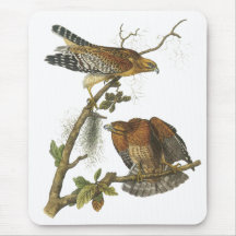 Red-shouldered Hawk, John Audubon Mouse Pad
