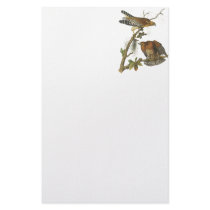 Red-shouldered Hawk, John Audubon Personalized Stationery