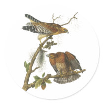 Red-shouldered Hawk, John Audubon Round Stickers