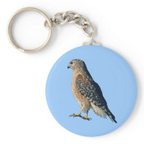 Red-shouldered Hawk Keychain