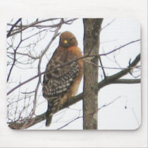 Red-shouldered Hawk Mousepad