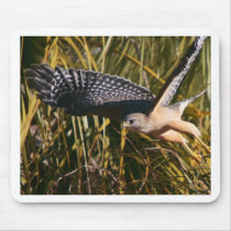 Red Shouldered Hawk mousepads