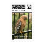 Red Shouldered Hawk Postage Stamp