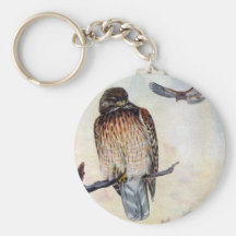 Red-shouldered Hawks Vintage Illustration Keychains