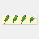 Red-shouldered Macaw Bumper Sticker