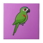 Red-shouldered Macaw Tile