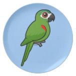 Red-shouldered Macaw Plate