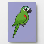 Red-shouldered Macaw Photo Plaque