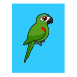 Red-shouldered Macaw Postcard